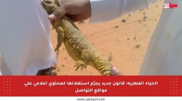 الحياة الفطرية: قانون جديد يجرّم استغلالها كمحتوى إعلامي على مواقع التواصل